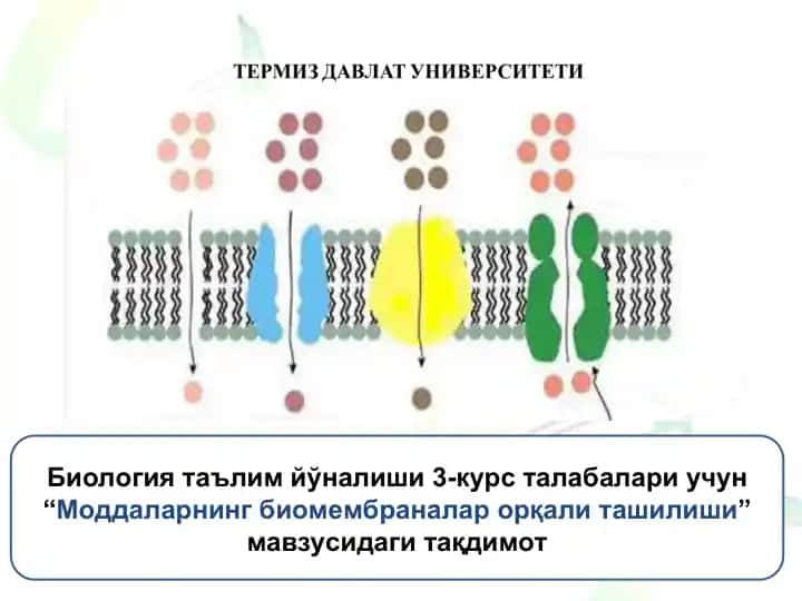 Moddalar bioraqamlar orqali tashilishi