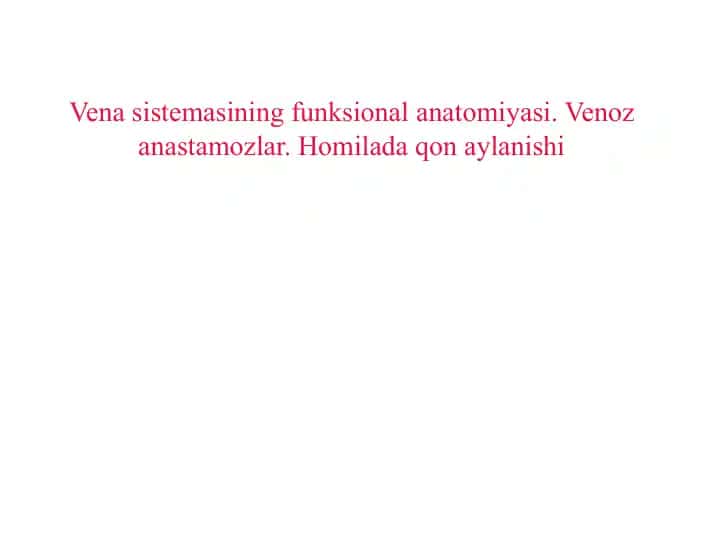 Venasistemasining funksional anatomiyasi