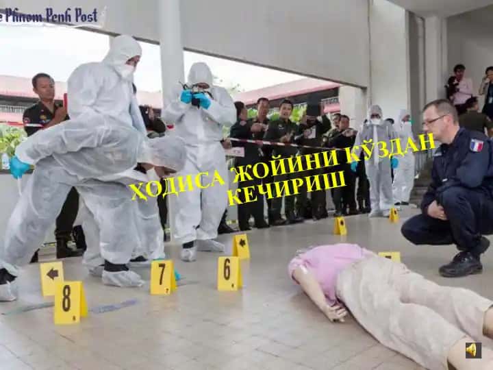 Ҳодиса жойини кўздан кечириш