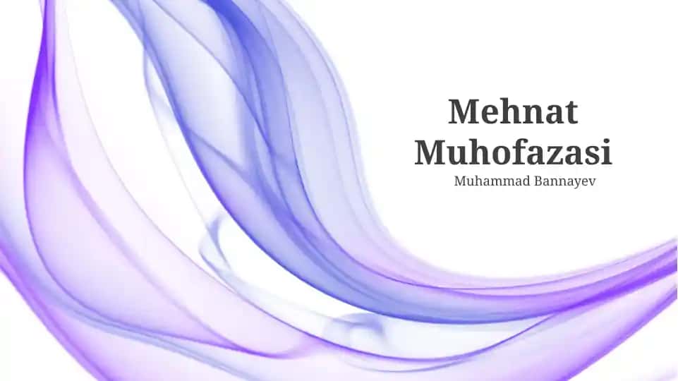 Mehnat Muhofazasi