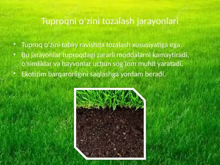 Tuproqni o‘zini tozalash jarayonlari
