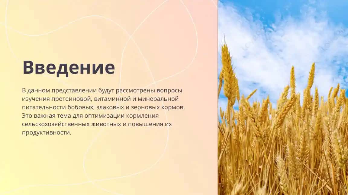 Протеиновая, витаминная и минеральная питательность бобовых, злаковых и зерновых кормов