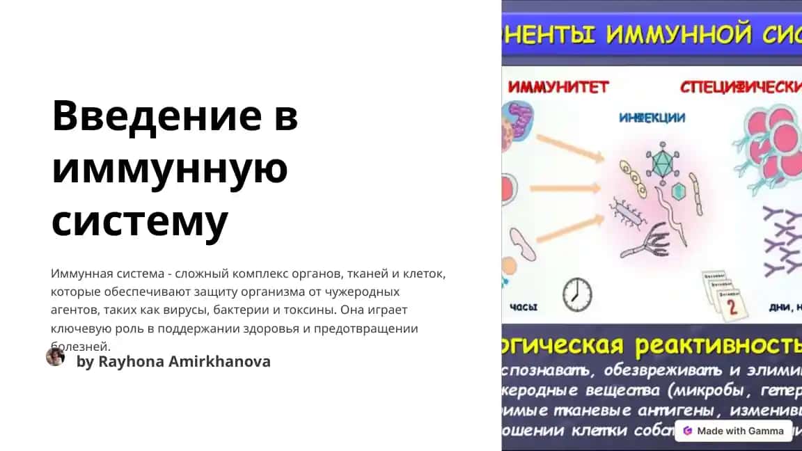 Введение в иммунную систему