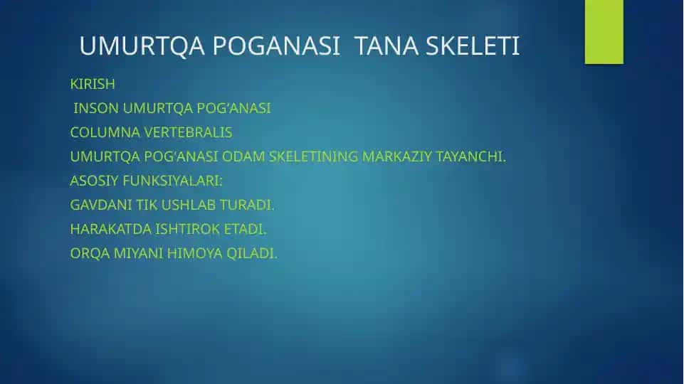 Umurtqa Poganasi Tana Skeleti