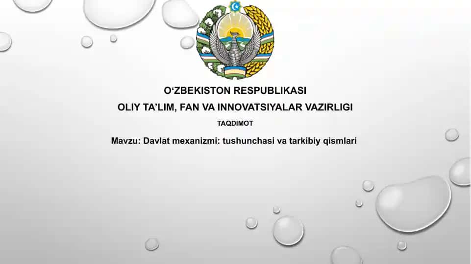 Davlat mexanizmi