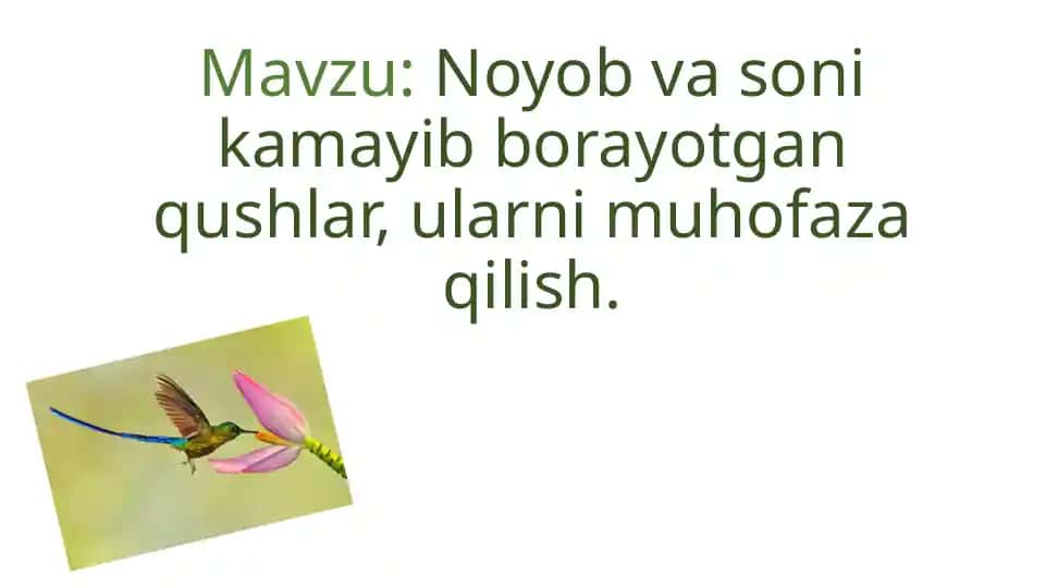 Noyob va soni kamayib borayotgan qushlar, ularni muhofaza qilish