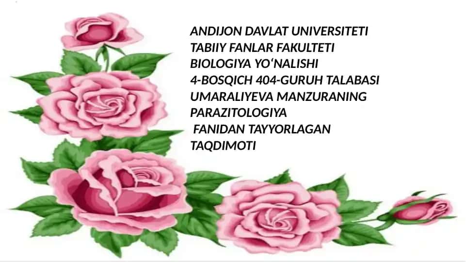 Parazitologiya fanidagi yassi chuvalchanglar