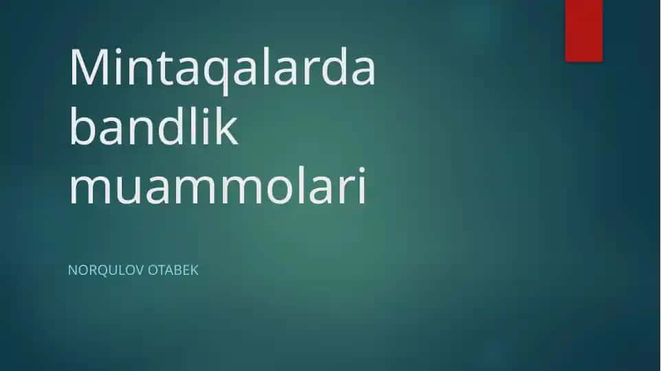 Mintaqalarda bandlik muammolari