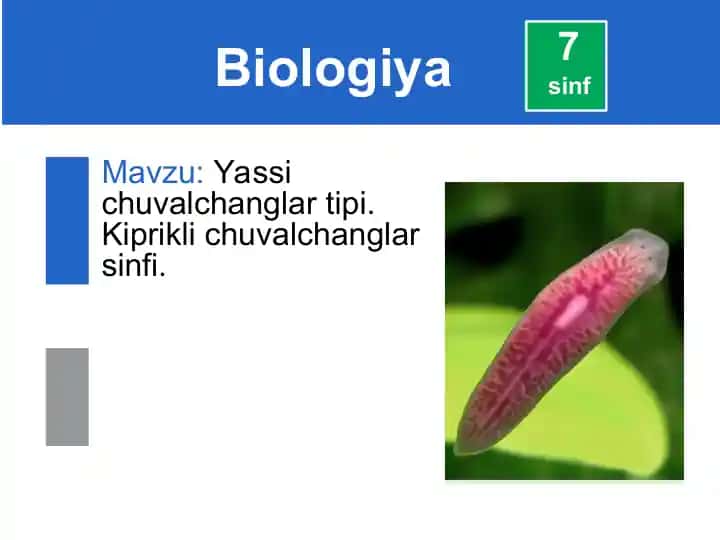Yassi chuvalchanglar tipi