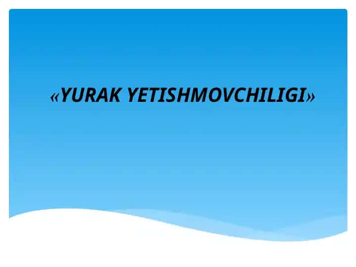 YURAKYETISHMOVCHILIGI