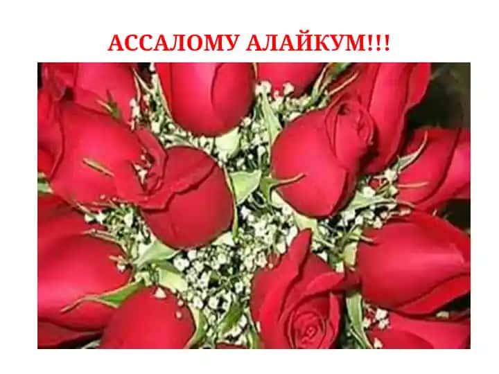 Психодиагностик текширув ва тадқиқотлар