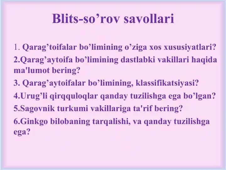 Blits-so’rov savollari