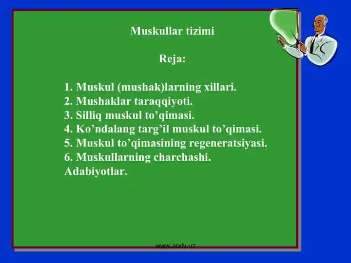 Muskullar tizimi