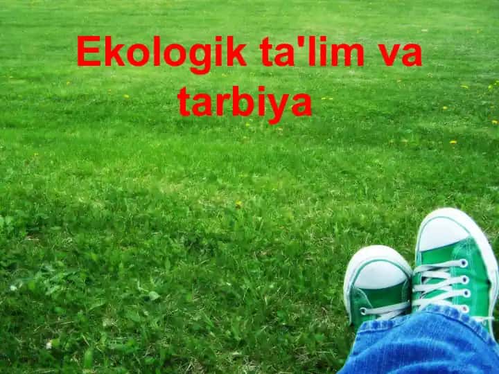 Ekologik ta'lim va tarbiya