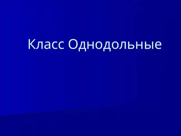 Однодольные
