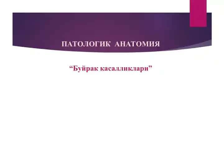 ПАТОЛОГИК АНАТОМИЯ Буйрак касалликлари
