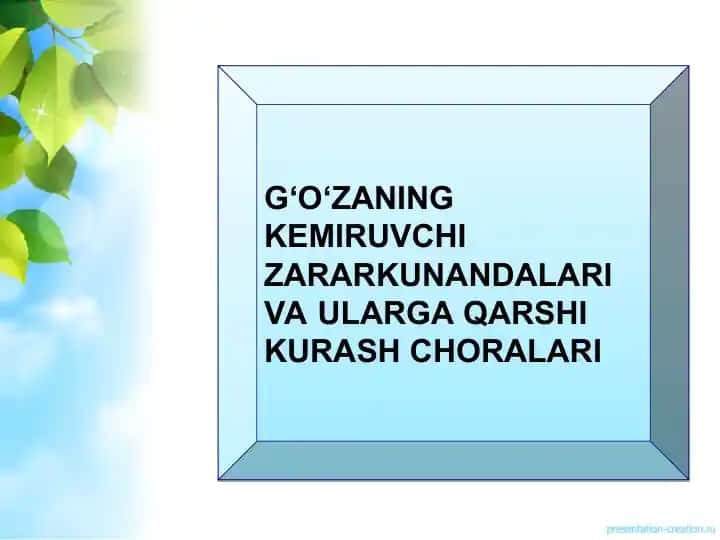 G‘O‘ZANING KEMIRUVCHI ZARARKUNANDALARI VA UALAR GA QARSHI KURASH CHORALARI