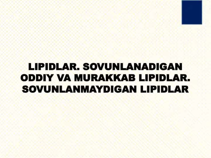 Lipidlar