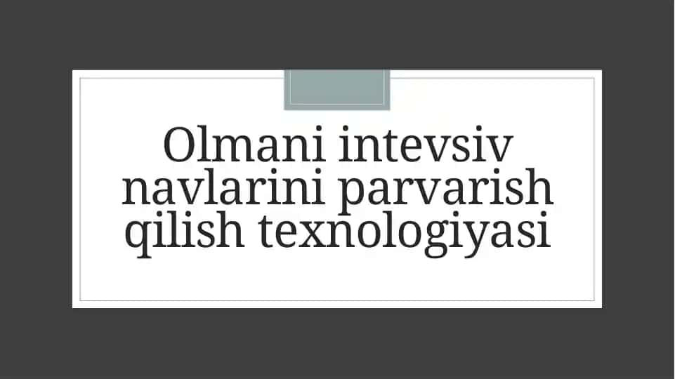 Olmani intevsiv navlari va parvarish texnologiyasi