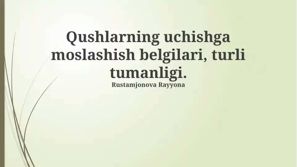 Qushlarning uchishga moslashish belgilari, turli tumanligi