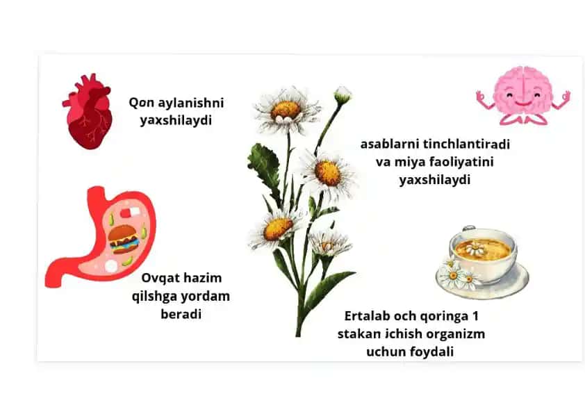 Qon aylanishni yaxshilaydigan oziq-ovqat