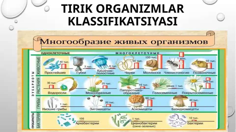 Tirik organizmlar klassifikatsiyasi