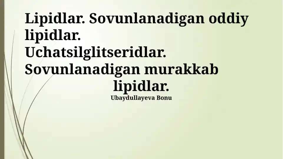 Lipidlar