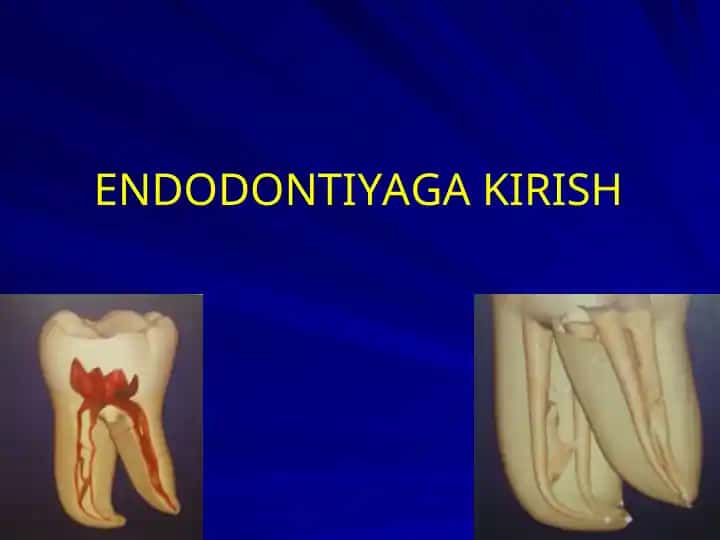 Endodontiya