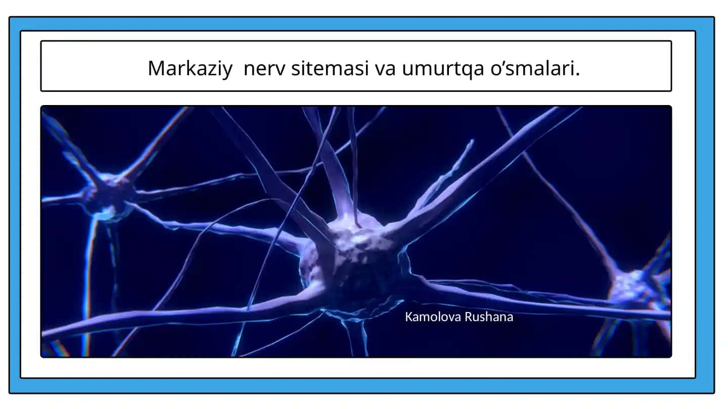 Markaziy nerv sitemasi va umurtqa o’smalari