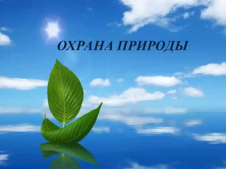ОХРАНА ПРИРОДЫ