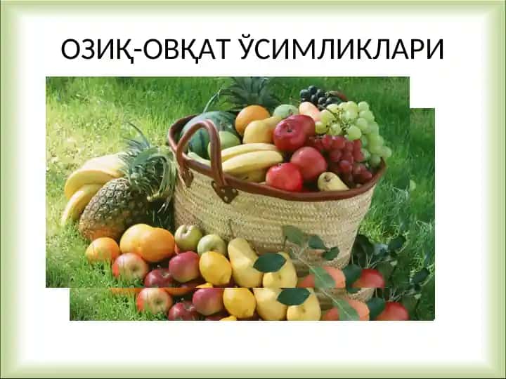 ОЗИҚ-ОВҚАТ ЎСИМЛИКЛАРИ