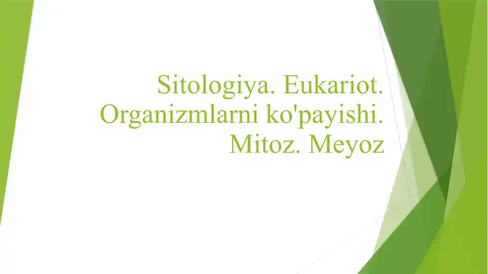 Meyoz