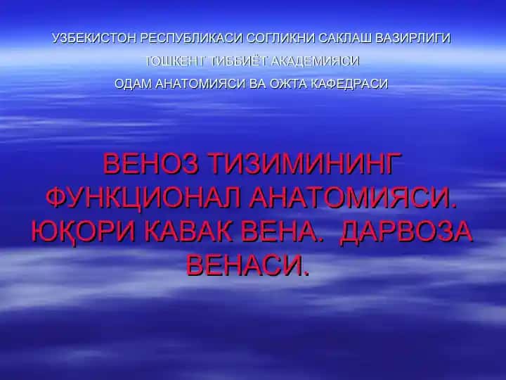 VENOZ TIZIMINING FUNKSIONAL ANATOMIYASI. YUQORI KAVAK VENA. DARVOZA VENASI.