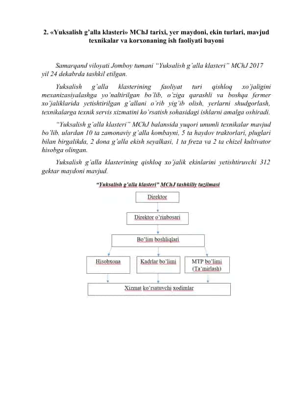 “Yuksalish g’alla klasteri” MChJ bo‘yicha amaliyot hisobot