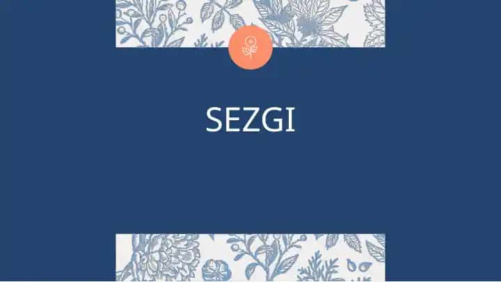 Sezgilar haqida umumiy tushuncha