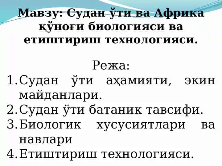 Судан ўти ва Африка қўноғи биологияси ва етиштириш технологияси