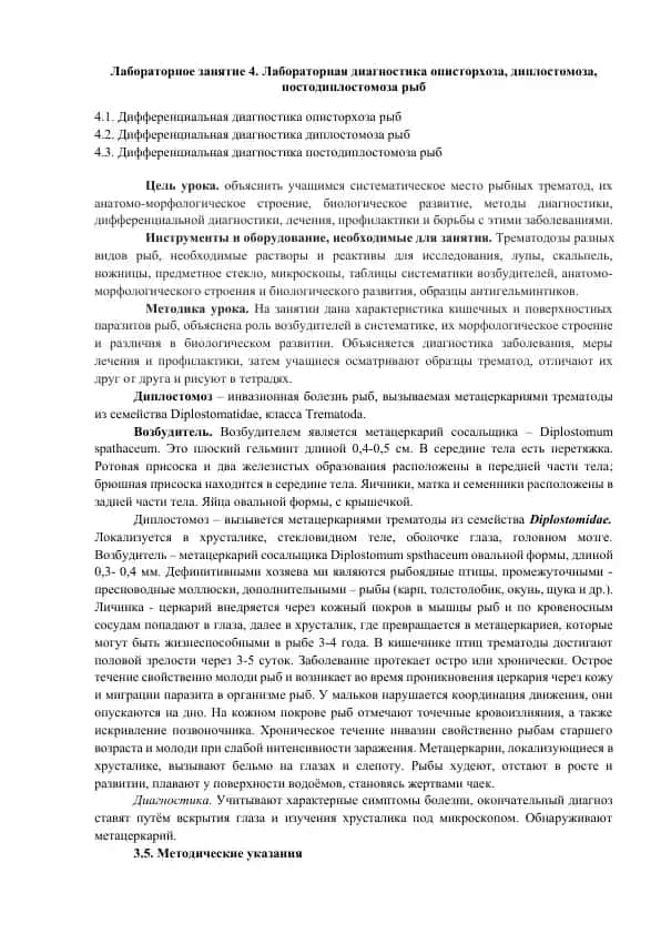 Лабораторное занятие 4. Лабораторная диагностика описторхоза, диплостомоза, постодиплостомоза рыб