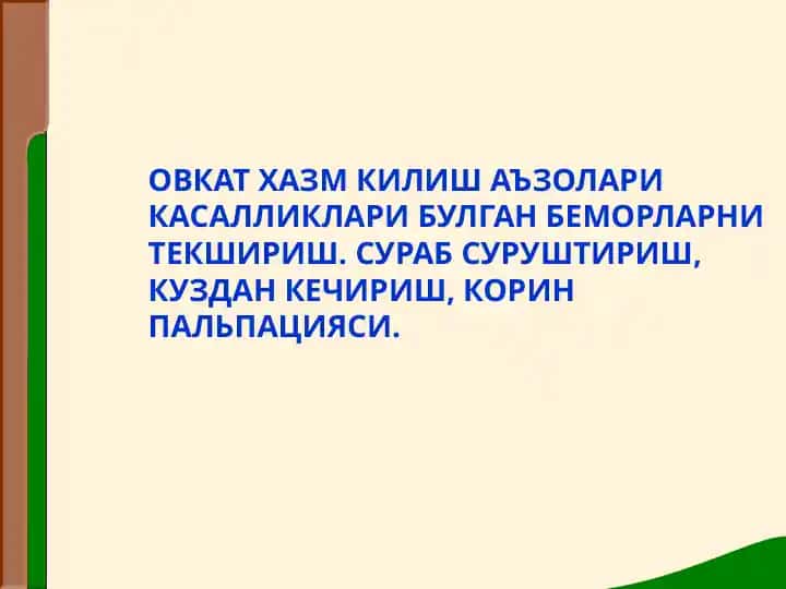 Овкат хазм килиш системаси