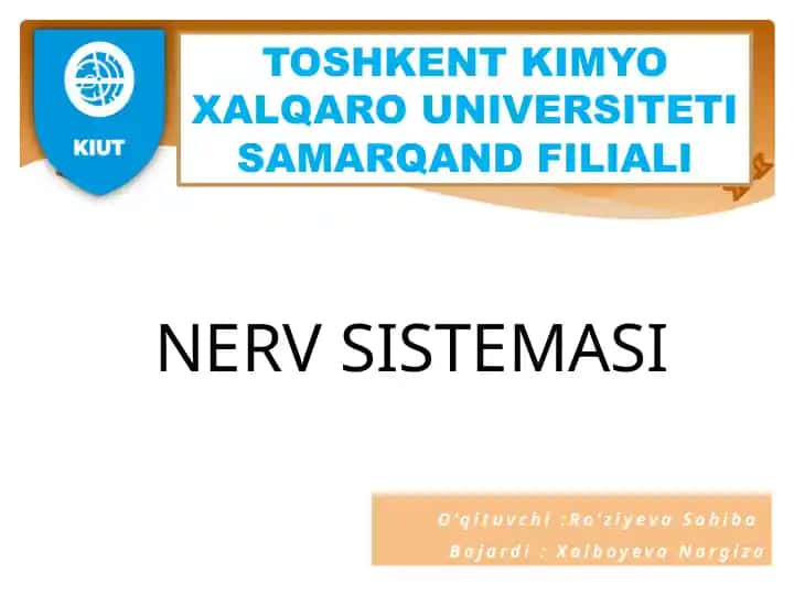 Nerv Sistemasi