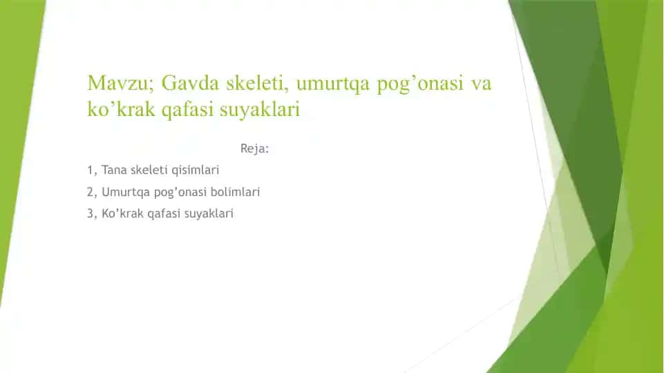 Gavdas skeleti, umurtqa po'qonasi va ko'krak qafasi suyaklari