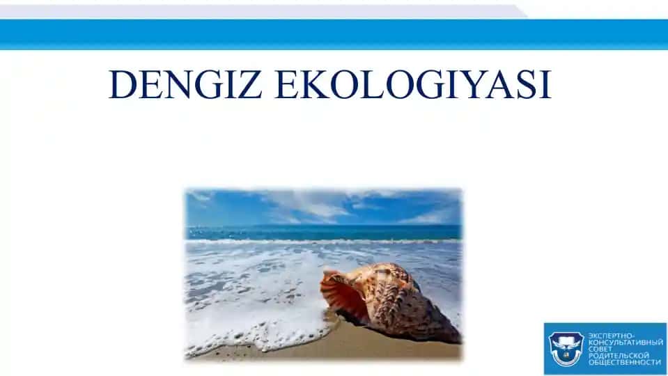 DENGIZEKOLOGIYASI