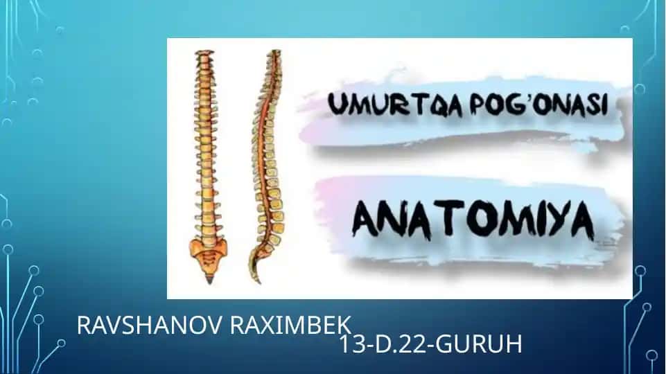 Umurtqa pag'onasi anatomiyasi haqida to;liq tranvatologiya
