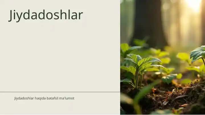 Jiydadoshlar