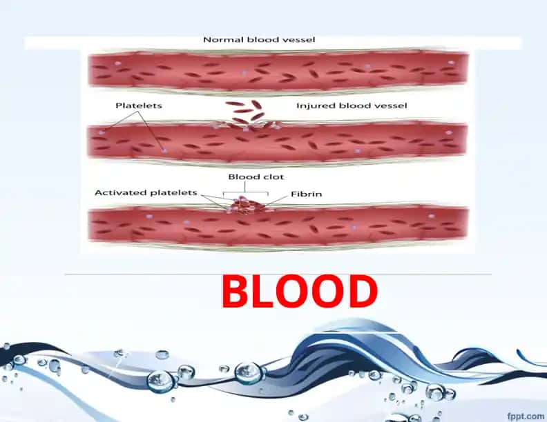 BLOOD
