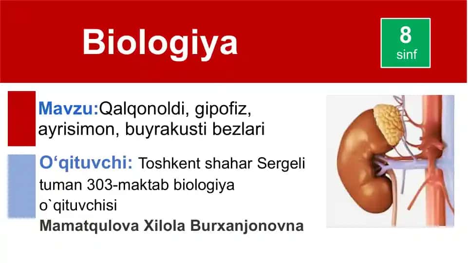 Qalqonoldi bezlari haqida ma'lumotlar