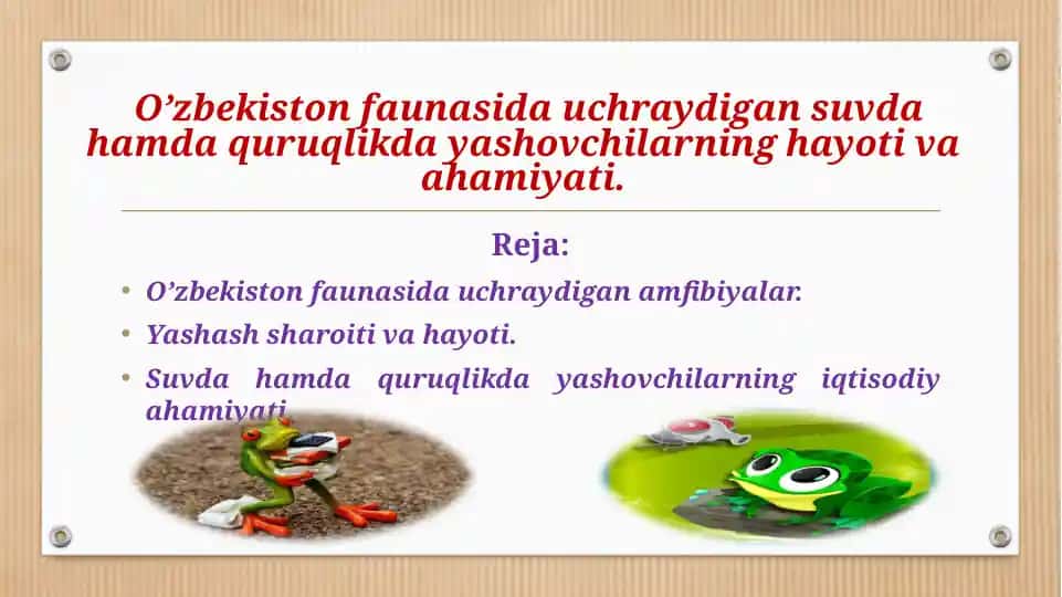 Amfibiyalar