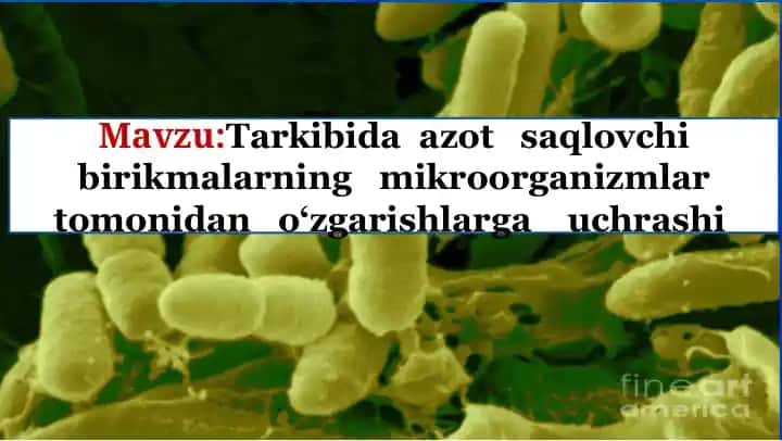 Azot o'zgarishlari