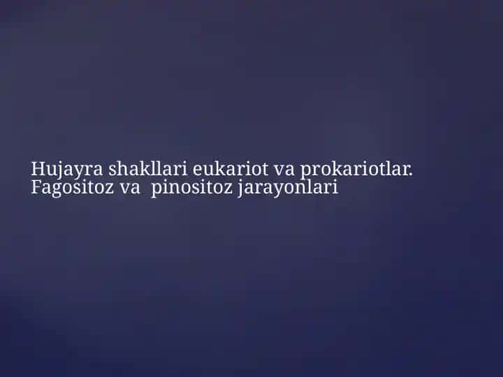 Hujayra shakllari va ularning vazifalari