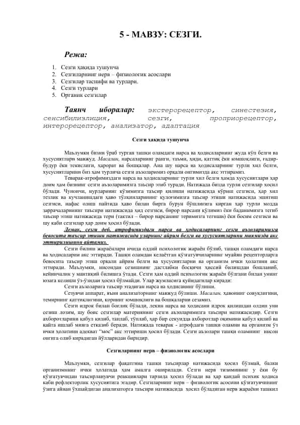 Sezgi