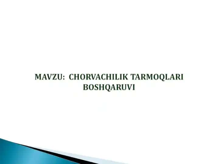 Chorvachilik Tarmoqlari